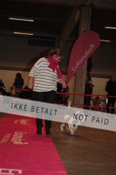 133496_tl_01_IMG_1903.JPG