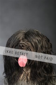 132082_le_ 01_IMG_0973.JPG