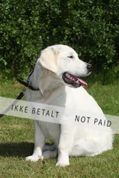 130370_se_03_IMG_6938.JPG