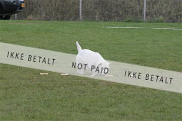 124188 _tl_02_IMG_9437.JPG