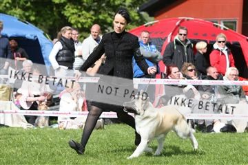 134871_ms_04_IMG_0743.JPG
