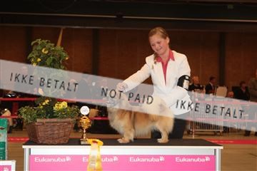 124188 _tl_02_IMG_9205.JPG