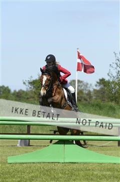 139815_ms_01__MS27522.JPG