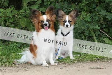 130370_se_01_IMG_5354.JPG