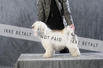 128239_le_kort_ 01_0069.JPG