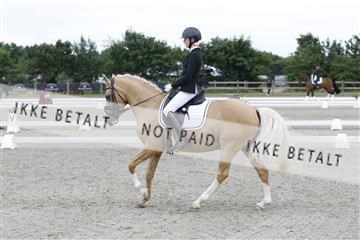 166078_rhj_01__J7R3564.JPG