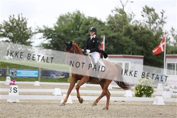 156196_nn_01_IMG_5256.JPG