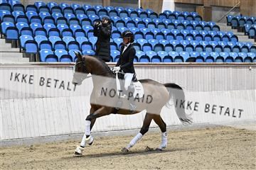 182241_kbb_01_Z093004.JPG