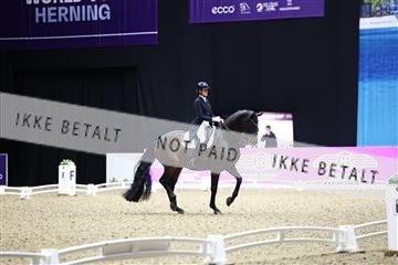 182194_avh_06_3332.JPG