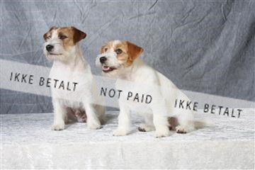 6068_ma_04_IMG_5067.JPG
