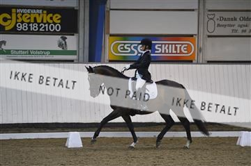 140040_abo_01__AB17995.JPG