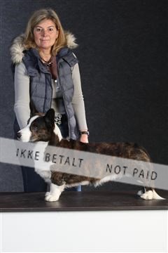 132082_le_ 01_IMG_0599.JPG