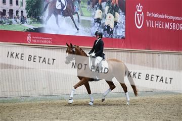 181887_mtp_05_R62_9534.JPG