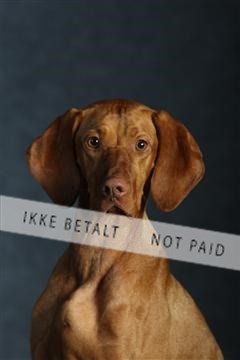 132082_le_ 01_IMG_0705.JPG