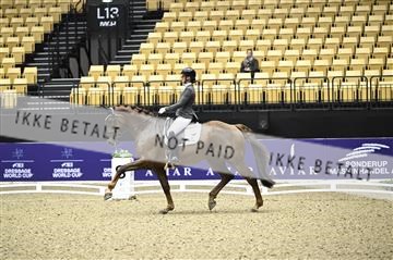 182194_kbb_02_Z097514.JPG