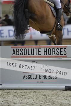 139644_abo_05__AB10020.JPG