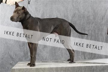 128239_le_ 06_0060.JPG