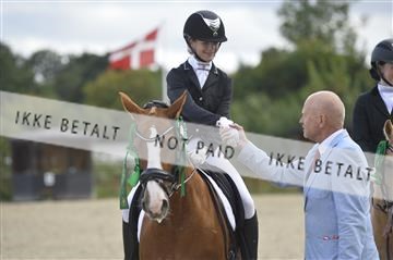 169624_kbb_01__KBB8853.JPG