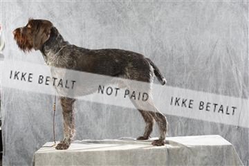 128239_le_ 06_0014.JPG