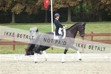 181923_mtp_04_R62_8993.JPG