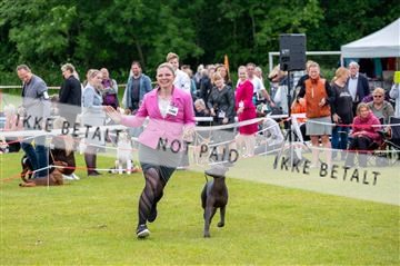 177324_jørgen lawaetz_1_DSCF4308.jpg