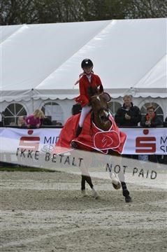 139644_abo_05__AB19992.JPG
