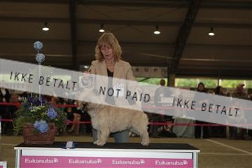 126168_se_02_IMG_0484.JPG