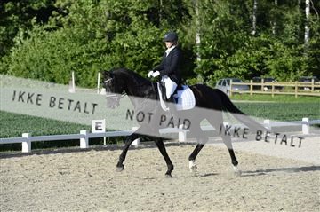 139898_ms_02__MS28828.JPG