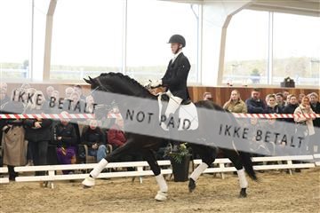 174363_kbb_01_R6II8264.JPG