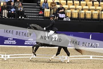 182194_kbb_03_Z091082.JPG