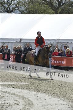 139644_abo_09__AB10566.JPG