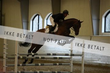 139266_kl_1_8M1Q7353.JPG