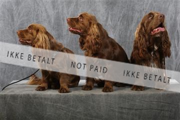 129608_le_ 01_0754.JPG