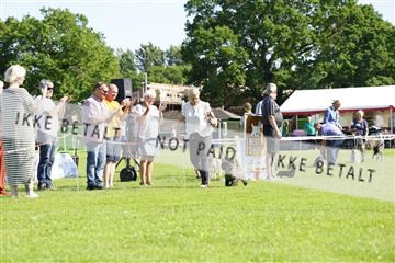 181564_kar_01__62_8209.JPG
