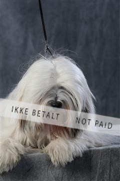 128239_le_kort_ 01_0076.JPG