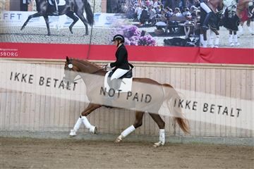 181887_mtp_02_R62_7345.JPG