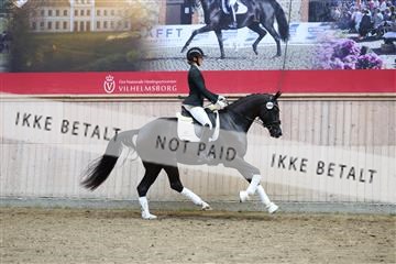 181887_mtp_04_R62_9326.JPG