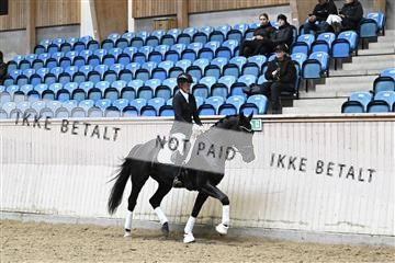 182241_kbb_01_Z095048.JPG