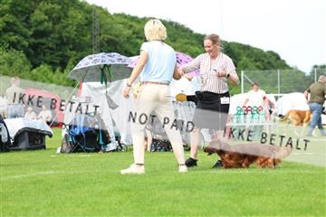 181564_rin_02_R62_1404.JPG