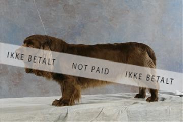 5493_sme _03__MG_9798.JPG