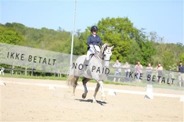168732_mtp_01_3M5A8429.JPG
