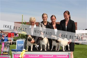 130370_se_02_IMG_6314.JPG