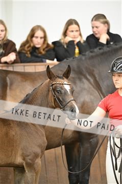 181739_kbb_01_Z091249.JPG