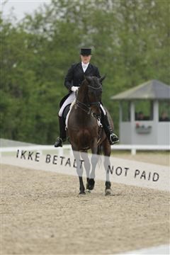 139835_sg_02_IMG_8701.JPG