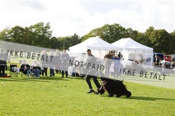 182009_kar_01__62_7253.JPG