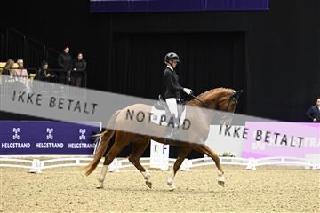 182194_kbb_03_Z090875.JPG