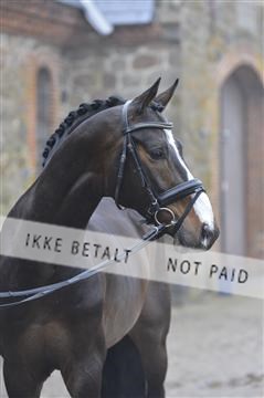 139327_abo_01__AB10539.JPG