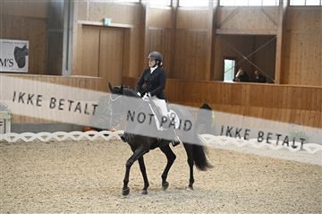 182176_kbb_01_Z092585.JPG