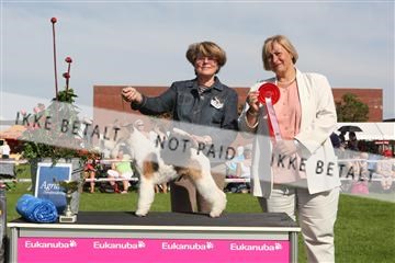 130370_se_02_IMG_6525.JPG