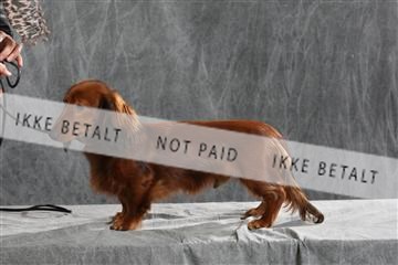 128239_le_ 05_0022.JPG